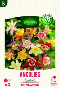 Ancolie Aquilegia en Mélange (x3)